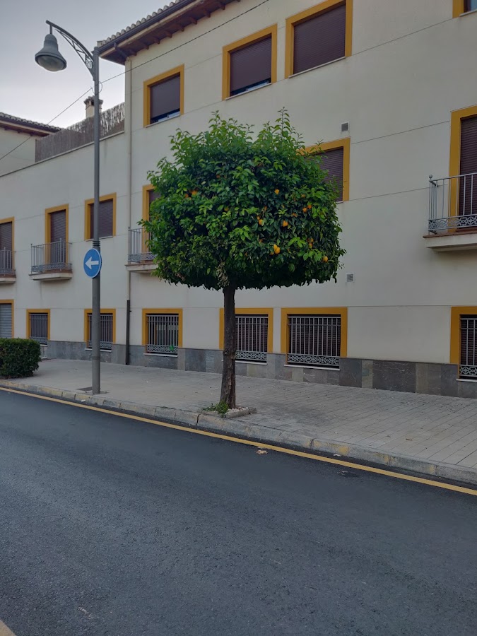 Döner Kebab Pakistani