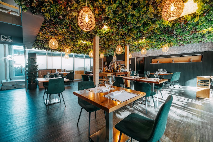 Negro Carbón Albayzin