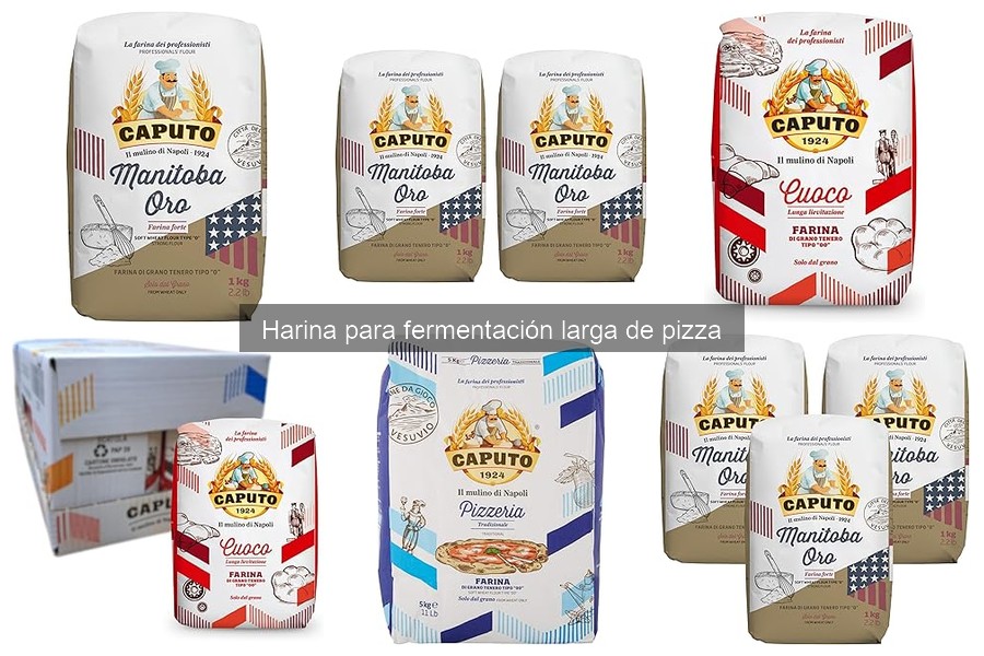 Alternativas a la harina para fermentación larga de pizza