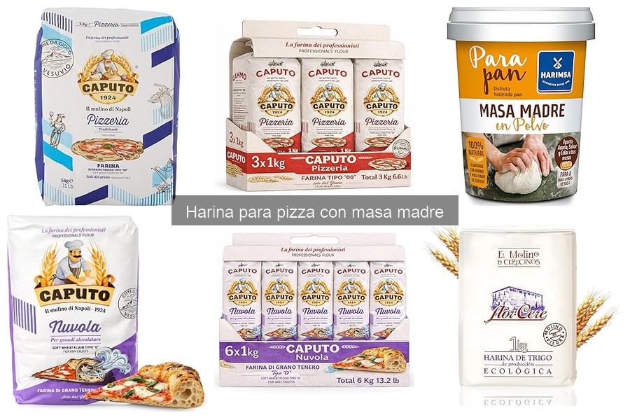 Alternativas a la harina para pizza con masa madre