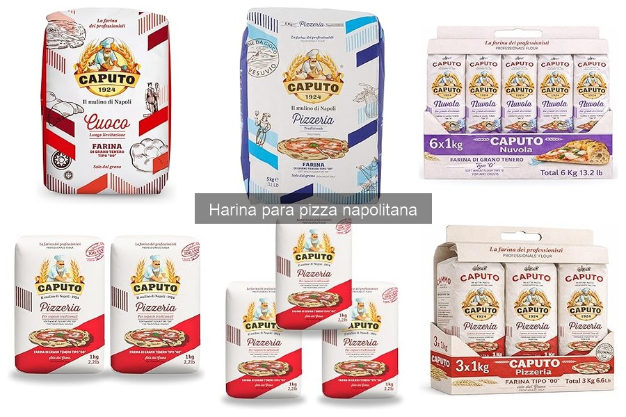 Alternativas a la harina para pizza napolitana: ¡descubre opciones!