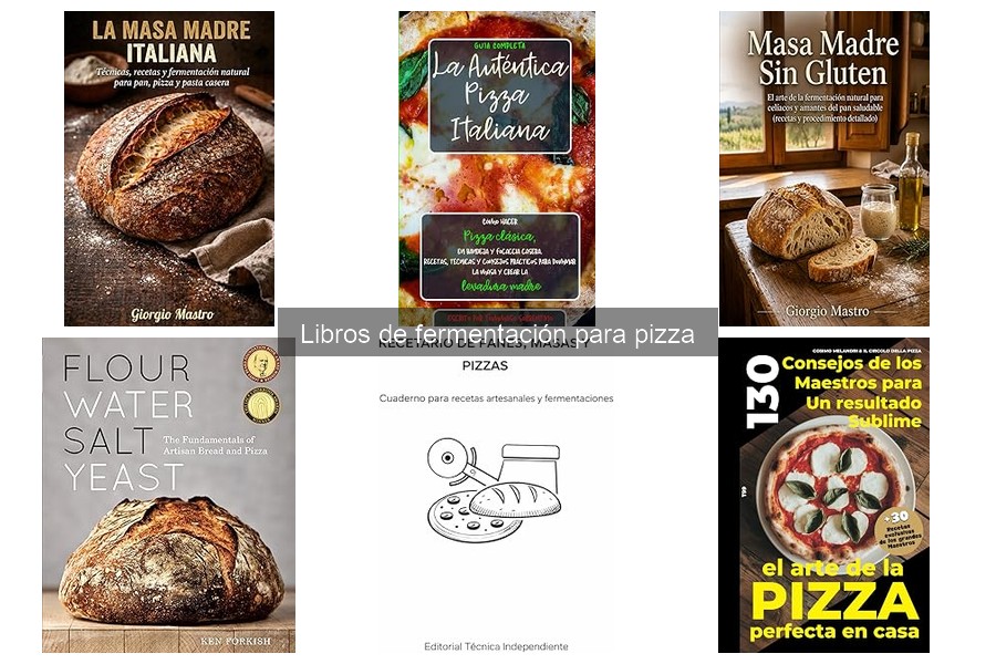Alternativas a libros de fermentación para hacer pizza