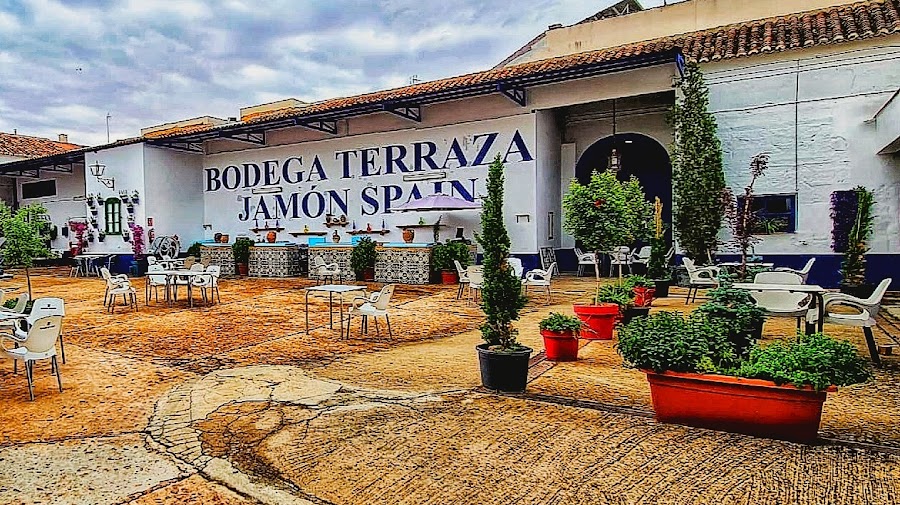 Bodega Rte JAMON SPAIN