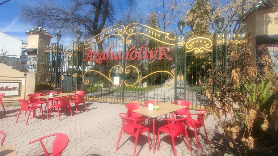Cafetería  Memphis 