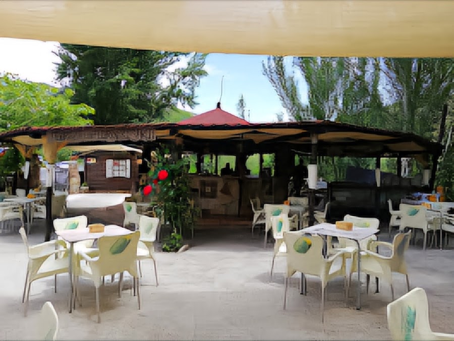 Chiringuito La flor del Rosario ( Los Pinillos)