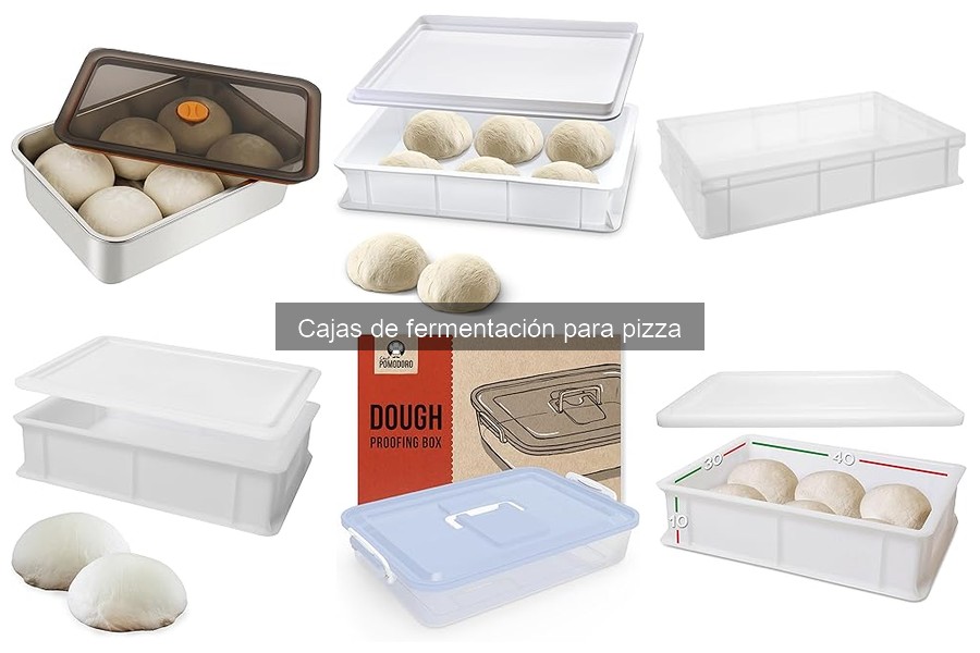 Cómo elegir la mejor caja de fermentación para pizza