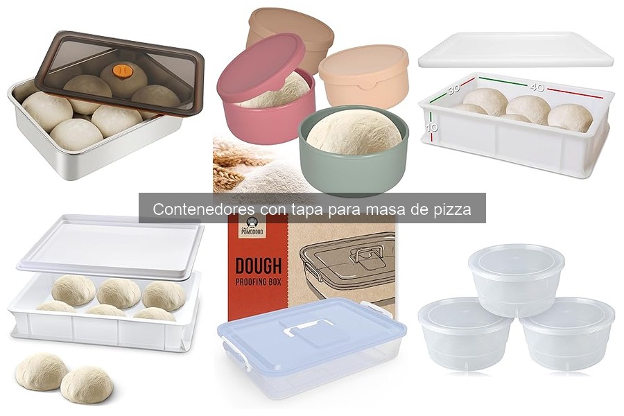 Contenedores con Tapa para Masa de Pizza: Tipos y Características