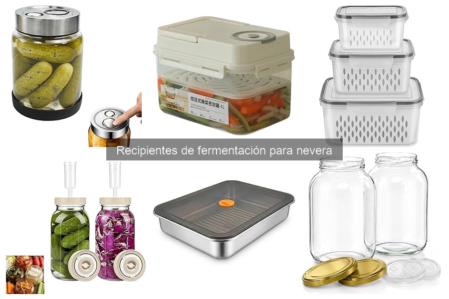 Dónde comprar recipientes de fermentación para nevera