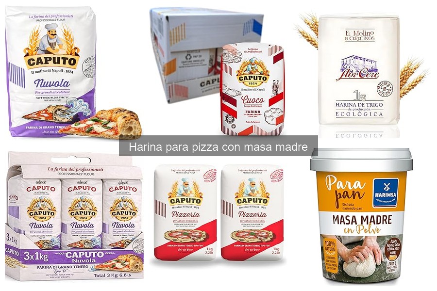 ¿Es necesaria la masa madre para hacer pizza?