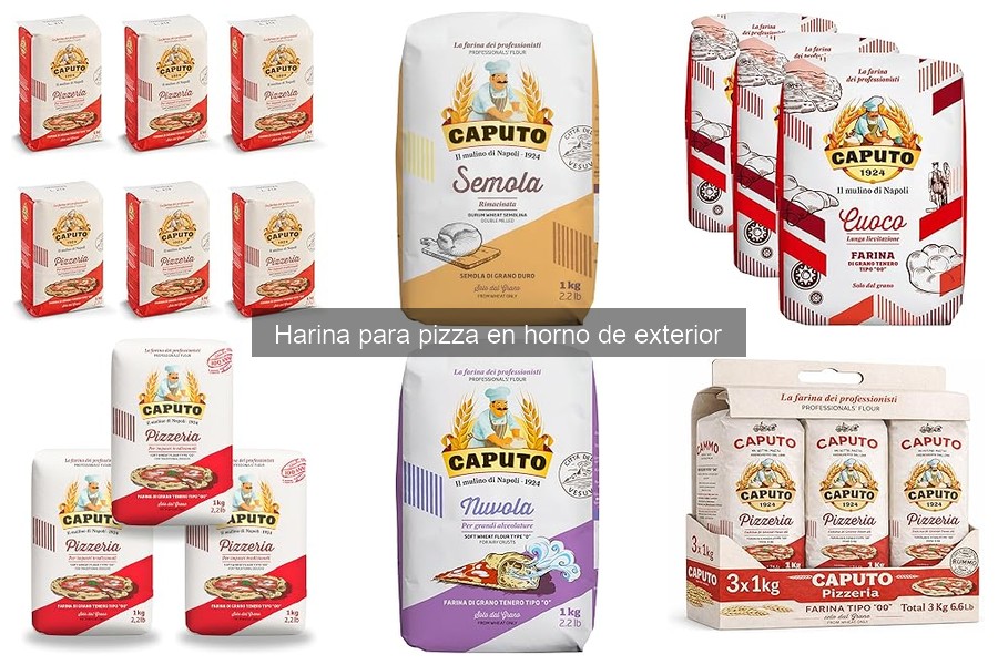Mejor harina para pizza en horno de exterior: guía completa