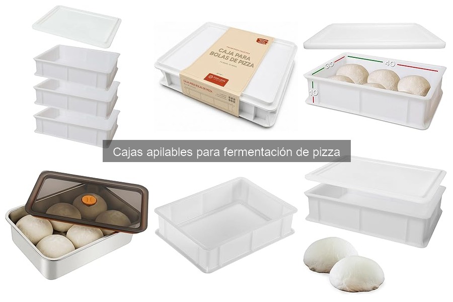 Mejores cajas apilables para fermentación de pizza 2023