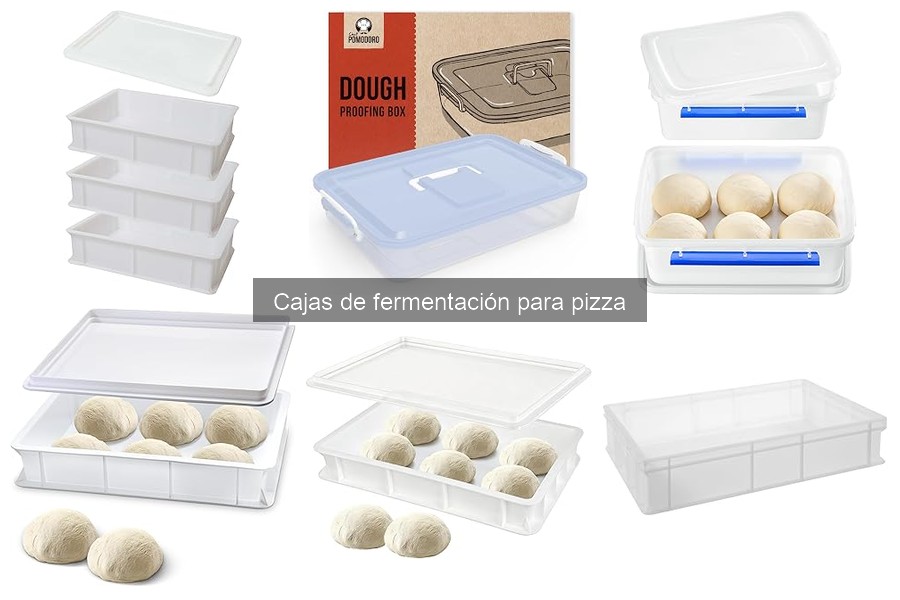 Mejores Cajas de Fermentación para Pizza en 2023
