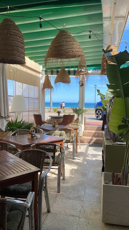 Olive Tree Bistro