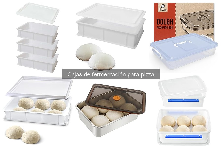 Problemas comunes con cajas de fermentación para pizza
