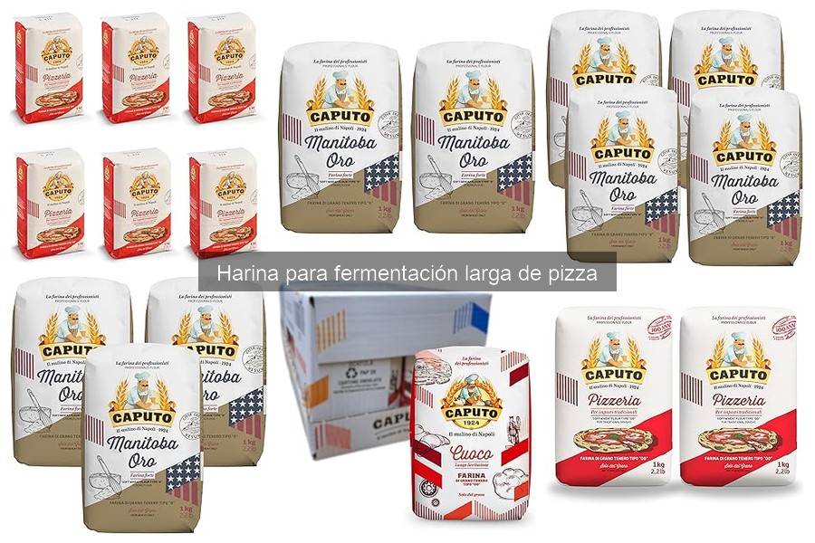 Problemas de fermentación con harina para pizza explicados
