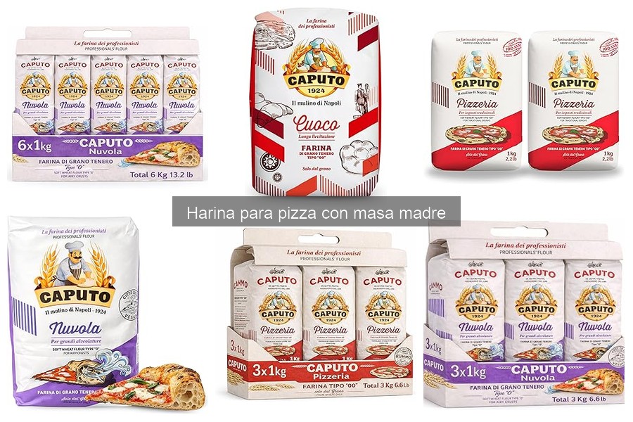 ¿Qué es la harina para pizza con masa madre? Guía básica