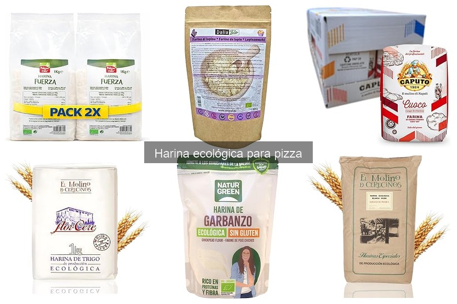Recetas deliciosas de pizza con harina ecológica