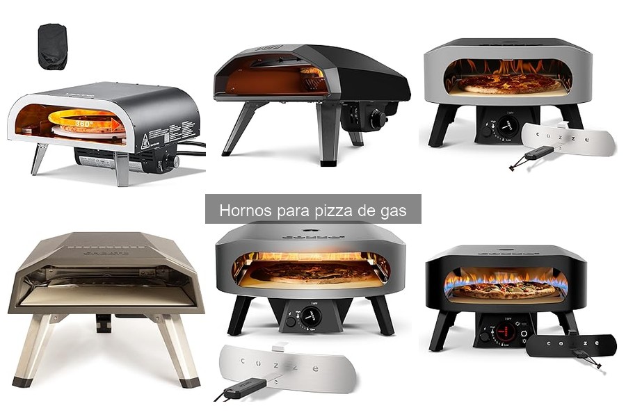 Reseñas de los mejores hornos de pizza de gas para casa
