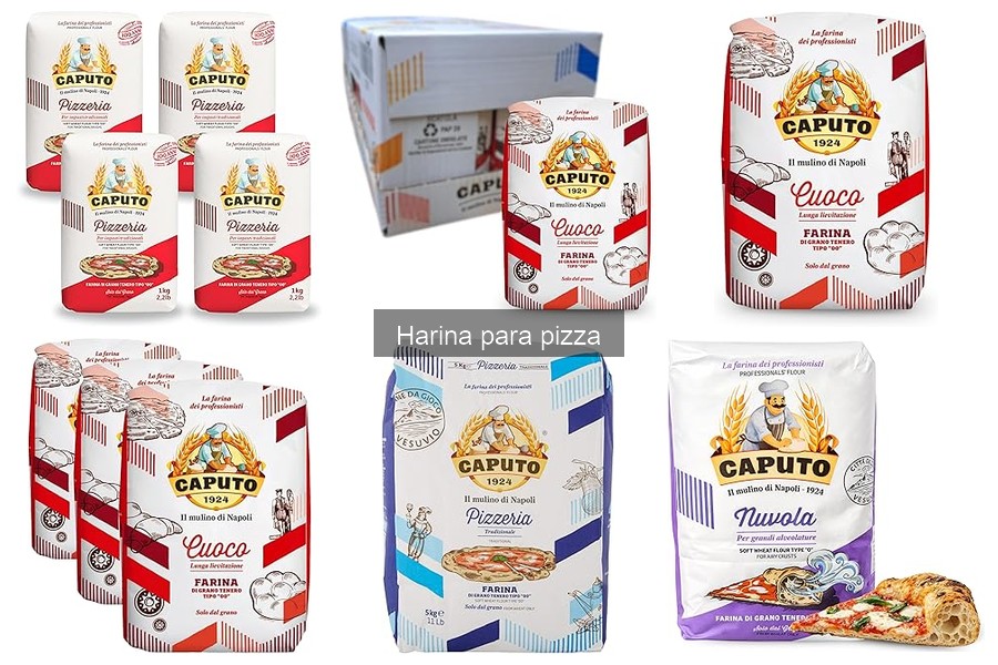 Soluciona Problemas Comunes de Harina para Pizza