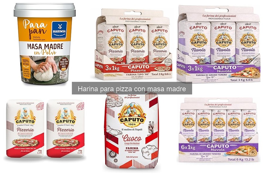 Tipos de harina para pizza con masa madre: guía completa