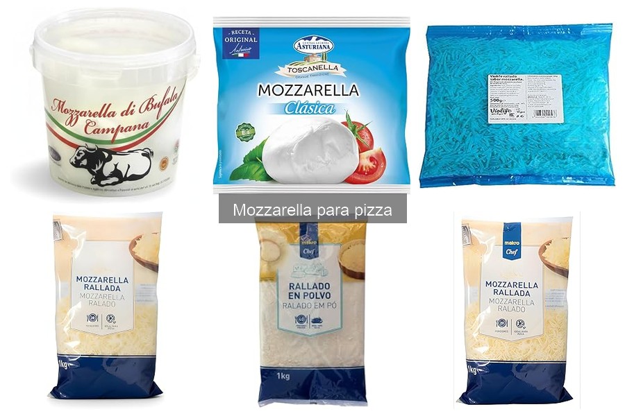 Tipos de mozzarella para pizza: guía de usos y características