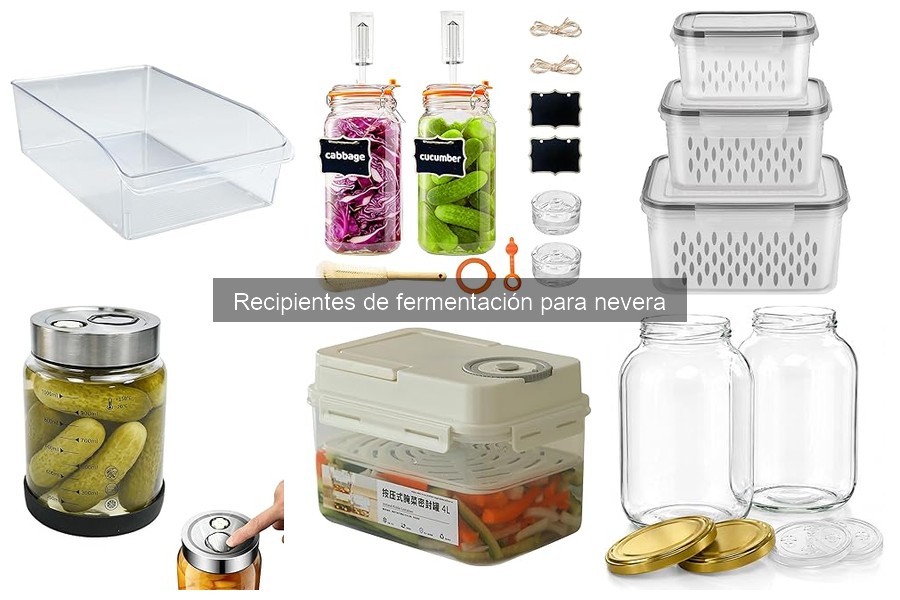 Tipos de recipientes de fermentación para nevera: guía completa