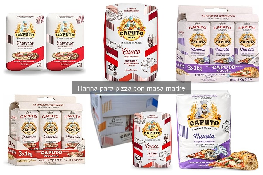 Ventajas de la harina para pizza con masa madre